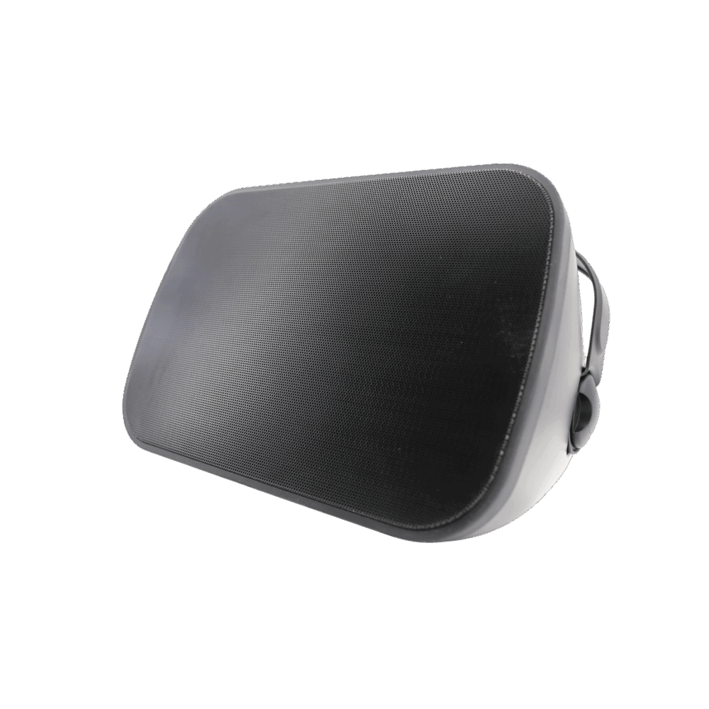 WIP-660R Wall Mount Speakers